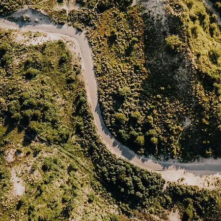 Little Buddha 잔드보르트