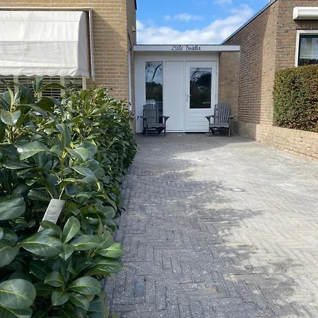 Little Buddha Zandvoort