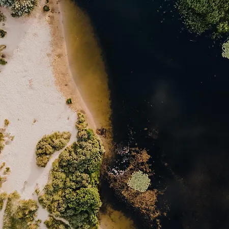 Little Buddha Zandvoort